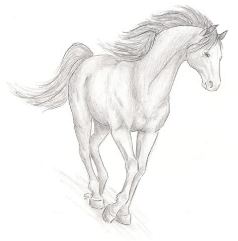 Horse, the powerful mammal is the subject of this free and unique collection of coloring pages. Valdes Tattoo: realistic horse coloring pages