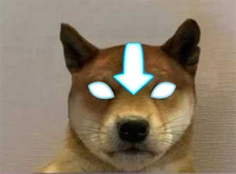 Avatar Dog Dogwifhatgang Dog Icon Cute Dogs And
