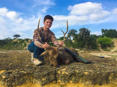 Sika Deer Hunting 18000 Acres In Texas 60 Species Ox