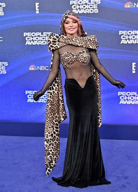 Shania Twain 57 Floored Fans Wearing A Totally See Through Dress