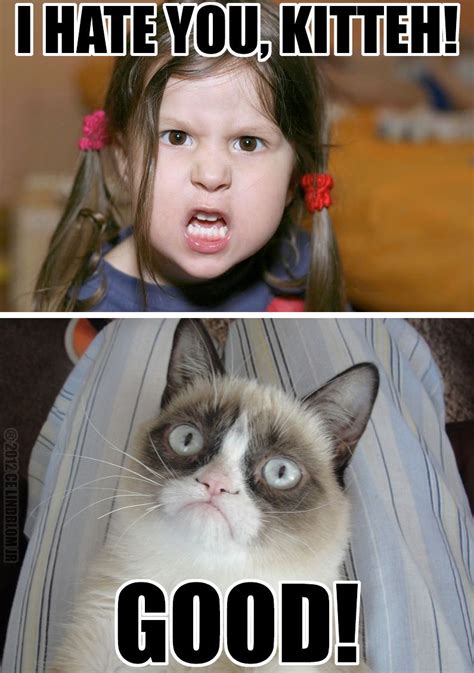 Grumpy Cat Meme I Hate You