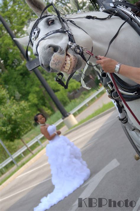 Wedding Photo Of Bride And Horse Posing For Picture Toledo Botanical