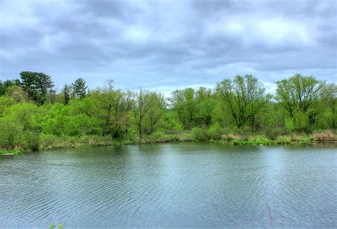 Across A Pond At Kickapoo Valley Reserve Wisconsin Image Free Stock