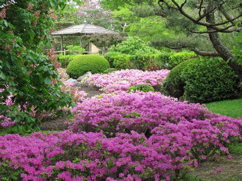 21 Of The Best Botanical Gardens To Visit This Spring