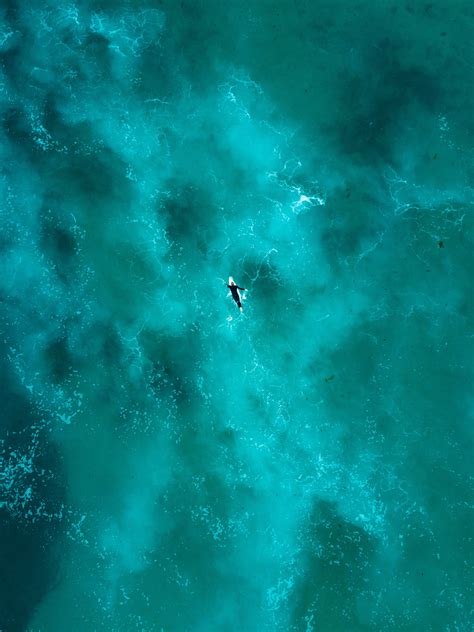 Banco De Imagens Verde Embaixo Da Agua Turquesa Aqua Mar C U Atmosfera Organismo