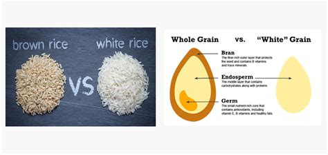 Dont Miss Our 15 Most Shared Difference Between White And Brown Rice