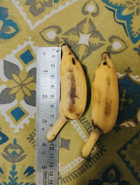 Indian Banana Scale For Scale 9GAG