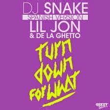 Dj Snake Lil Jon Turn Down For What