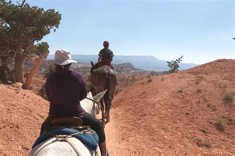 Mule Trekking In Bryce Canyon Iconic Backpacker Stories