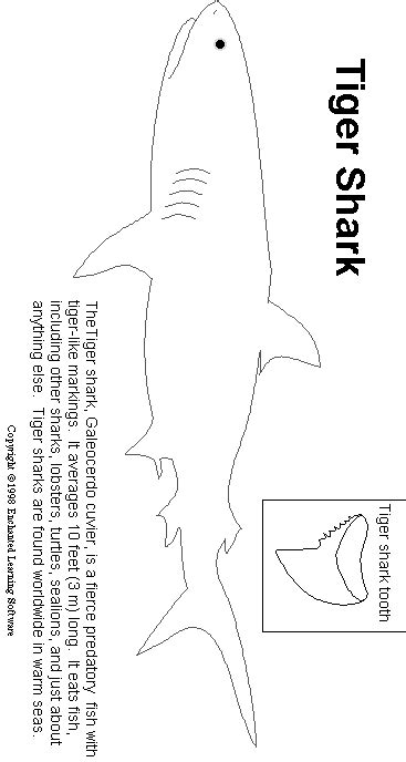 Shark Puppet Coloring Pages