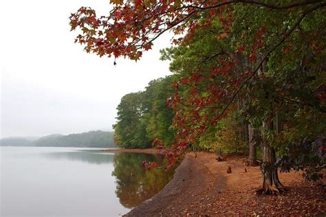 Red Top Mountain In Fall Photograph By Kari Lewis Fine Art America