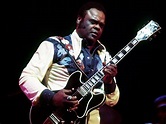 Freddie King Courses - Course Collection
