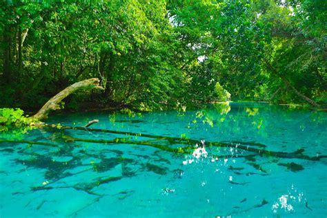 Vanuatu Nature And Cultural Excursions To Discover • Enezgreen