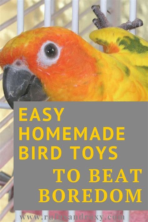 12 Quick And Easy Diy Bird Toys To Beat Boredom Homemade Bird Toys Diy