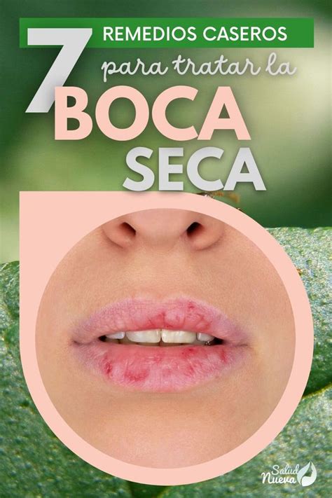 7 Remedios Naturales Para La Boca Seca