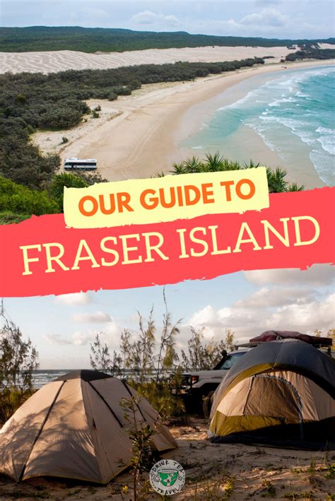 What You Need To Know About Camping On Fraser Island Fraser Island