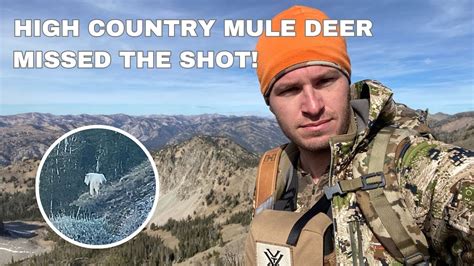 Idaho High Country Mule Deer Hunt Missed The Shot Bonus Mountain