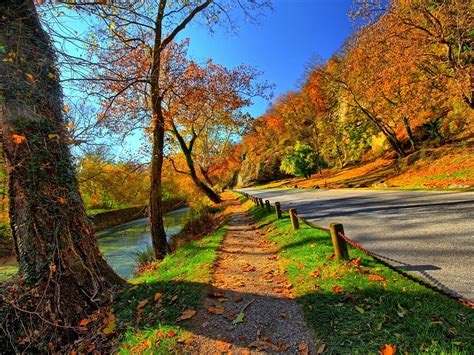 Wallpaper Park Trees Road Autumn Sunshine 1920x1440 Hd Picture Image