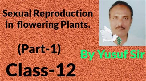 sexual reproduction in flowering plants class 12 part 1 youtube