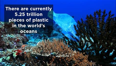 In Numbers The Global Extent Of Marine Plastic Pollution