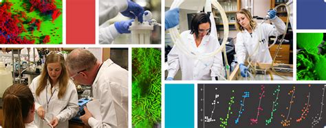 Standardized Biofilm Methods Lab Center For Biofilm Engineering