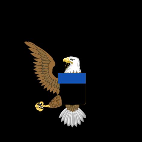 Bald Eagle Usas National Symbol American Eagle Foundation