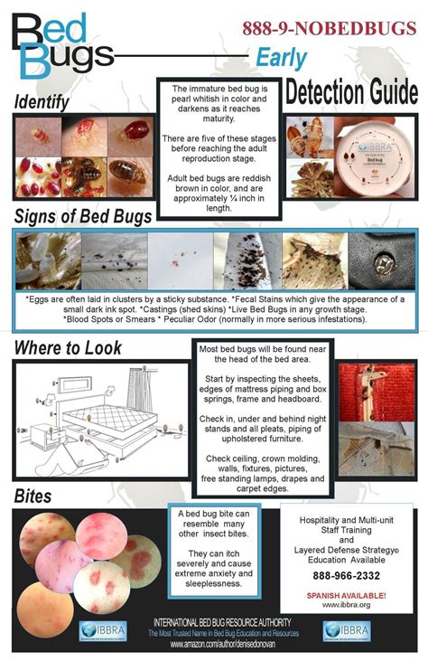 Everything About Bed Bugs In 2020 Bed Bugs Signs Of Bed Bugs Bed