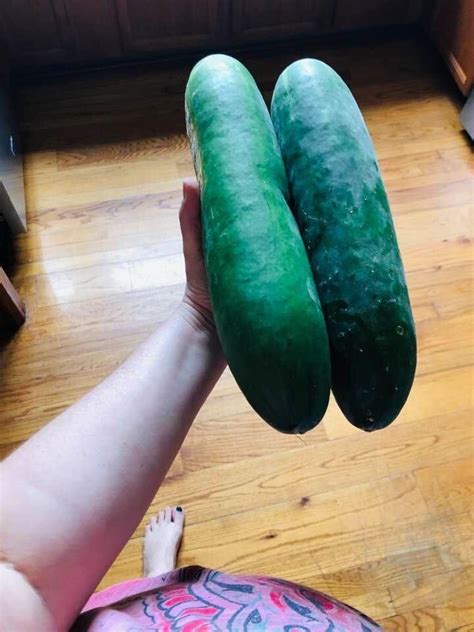 my wife grew two giant green cucumbers mildlyinteresting