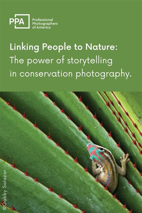 The Cover Of Linking People To Nature The Power Of Storytelling In
