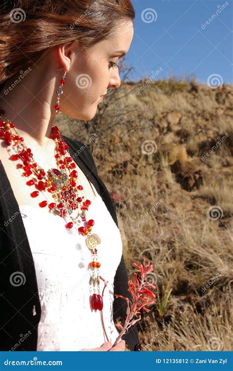 African Gypsy 3 Stock Photography Image 12135812