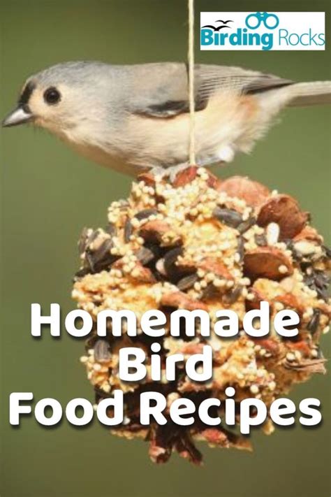 Making fat balls is extremely easy, all you need is solid vegetable oil, beef suet or lard, plus bird seed mix, at a ratio of 1:2. Homemade Bird Food Recipes | Bird food, Suet recipe, Food