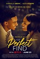 The Perfect Find - Wikipedia
