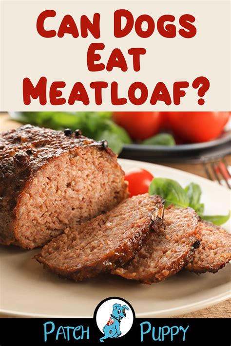 Pup Loaf 13 Dog Meatloaf Recipes Your Dog Is Sure To Love Easy Dog