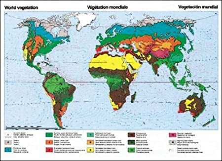 Vegetation Zones Of The Earth Educational Chart Decorative Poster