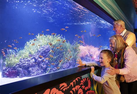 Sea Life Aquarium Attractions Big City Saver London