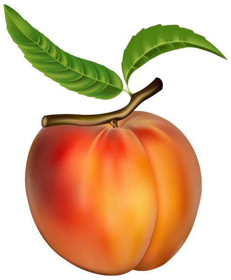 Free Peach Clip Art Download Free Peach Clip Art Png Images Free