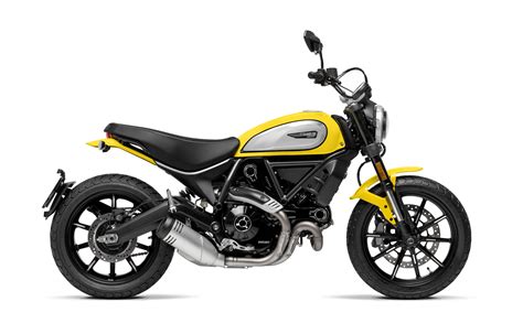 One bike to rule all them all! 2019 Ducati Scrambler Icon Guide • Total Motorcycle