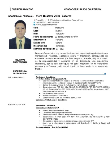 Curriculum Vitae Pdf Contador Contabilidad