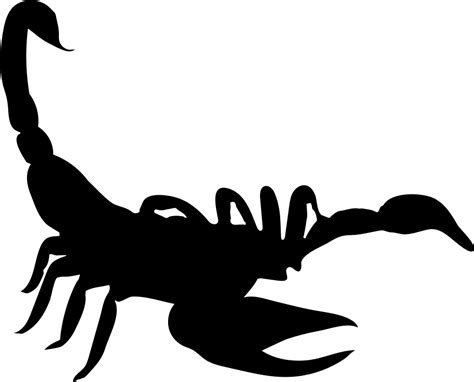 Scorpion Png Download 981792 Free Transparent Scorpion Png