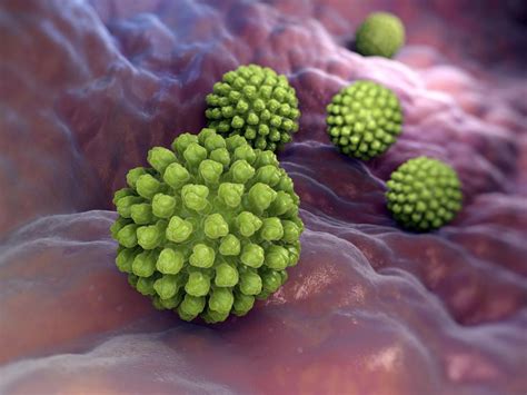 Symptoms include severe diarrhea, vomiting, fever, and dehydration. Gut microbiota may 'prevent and cure' rotavirus