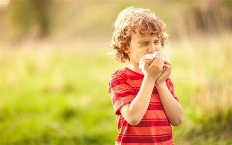 Everything You Need To Know About Kids Seasonal Allergies Coastal