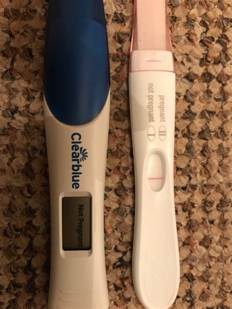 No Period And Negative Pregnancy Test
