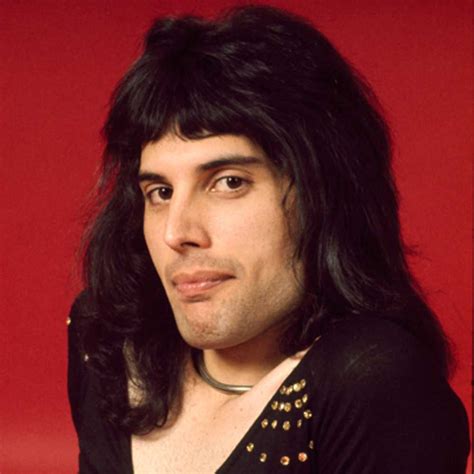 Swashvillage Freddie Mercury Biographie
