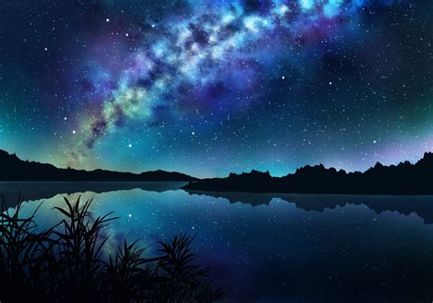 Nobody Sky Stars Landscape Night Trees Dark Grass Reflection