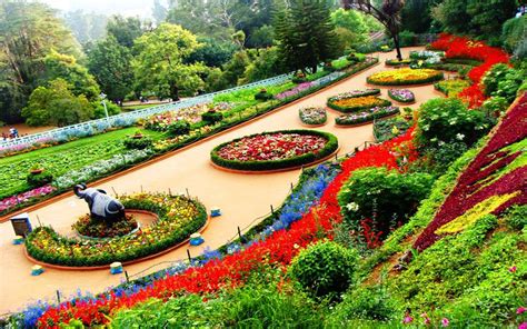 Botanical Gardens In Ooty India Wallpapers Hd Desktop Backgrounds