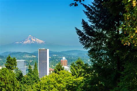 Plus there are other beautiful attractions nearby; Famous Trees Throughout Portland | Mr. Tree, Inc.