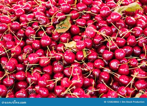 Lot Of Ripe Red Cherries Stock Photo Image Of Freshness 125824866