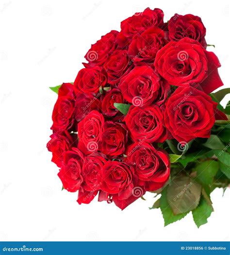 Rose Flowers Bouquet Royalty Free Stock Image Image 23018856