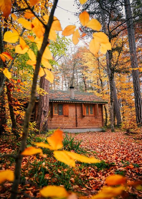 Hidden Protection: Using Trail Cameras For Security At Home