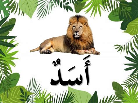 Nama Haiwan Dalam Bahasa Arab Tahun 5  Bahasa Arab Worksheets And